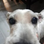 Dora - @dorispower_.1 - Instagram