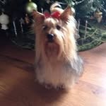 Doris Power - @dorispower2014 - Instagram
