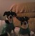 Doris Powers - Facebook
