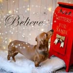 Doris Reed Pratt - @dorisreedpratt - Instagram