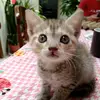 Doris Preciado - @user847184758 - TikTok