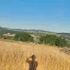 dorissprenger - @dorissprenger - TikTok