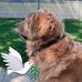 Doris Pressley - Facebook