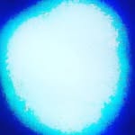 Doris P Preston - @dorisppreston - Instagram