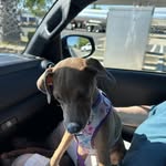 Doris Preston - @dorispreston01 - Instagram