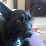 @dorispriest - Instagram
