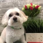 Doris Prince - @dorisprince02 - Instagram