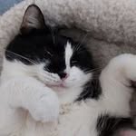 Doris Probst - @dodoprob - Instagram