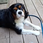 Doris Pruitt - @dorispruitt563 - Instagram