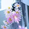 Doris Puente - @doris.puente - TikTok