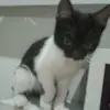 Doris Puente de la Vega - @doris.puente.de.l - TikTok