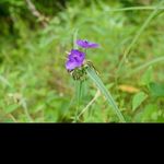 @doris_pullen - Instagram