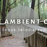doris pulliam - @theambientcalm - Instagram