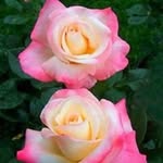 Doris pyle - @pyle_doris - Instagram