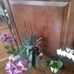 Doris Pyle - Facebook