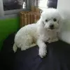 dorisquijadacasti - @dorisquijadacasti - TikTok