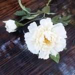 Doris Quinteros - @quinteros7195 - Instagram