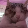 dorisquinto2528 - @dorisquinto2528 - TikTok