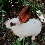 🐇 MY_DORİS🐇 - @doris_rabbit_ - Instagram