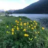 Doris Piffrader - @doris.piffrader - TikTok
