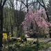 Doris Rader - Facebook