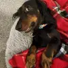 Doris Raet - @doris.raet - TikTok