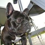 Doris Ragert - @dorisragert - Instagram