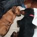 Doris Cowan - Facebook