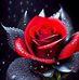 Doris Rashuaman - Facebook