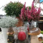 Doris Rauch - @rauch.doris - Instagram
