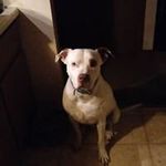 Doris Strauch - @strauchdoris - Instagram