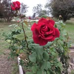 Doris Raymond - @raymonddorisrn - Instagram