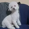 doris rea - @dori.rea - TikTok