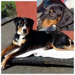 Doris Redding - @doris_redding_ - Instagram