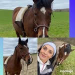 Doris Reder - @rederdoris - Instagram