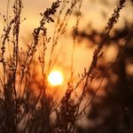 Doris Rich - @sunrises_06 - Instagram
