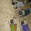 Doris Rincon - @doris.rincon4 - TikTok