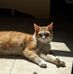 Doris Rivard - Facebook