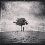 Doris Roark - @pinninjathin - Instagram