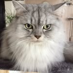 Doris Rohrbasser - @dorisrohrbasser - Instagram