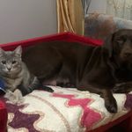 Doris_Roman PATİ 🐾 - @doris_roman2 - Instagram