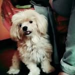 Doris Roque - @doris.roque.148 - Instagram