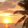 Doris Rose - @doris.rose - TikTok