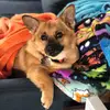 Doris Rose - @days_with_doris - TikTok