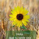 doris rosendo - @doris.rosendo52 - Instagram