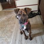 Doris Rowland - @rowlanddoris60 - Instagram