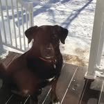 Doris Roy - @doris.roy.1232 - Instagram
