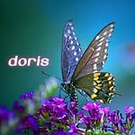 Doris Roy - @doris.roy.3 - Instagram