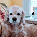 Doris Rush - Facebook