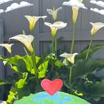 Doris Russ - @ggmadoris - Instagram